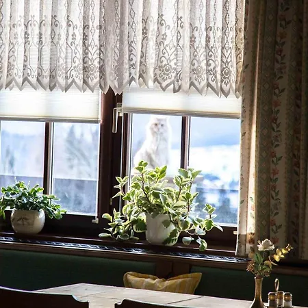 Stoffenbauer Gæstehus Ramsau am Dachstein