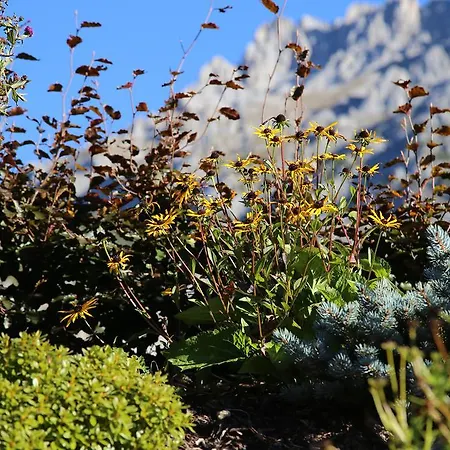 Gæstehus Stoffenbauer 3*