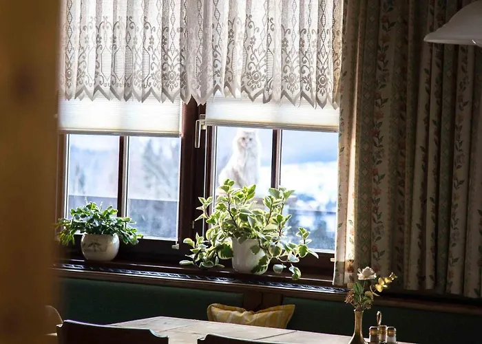 Stoffenbauer Gæstehus Ramsau am Dachstein