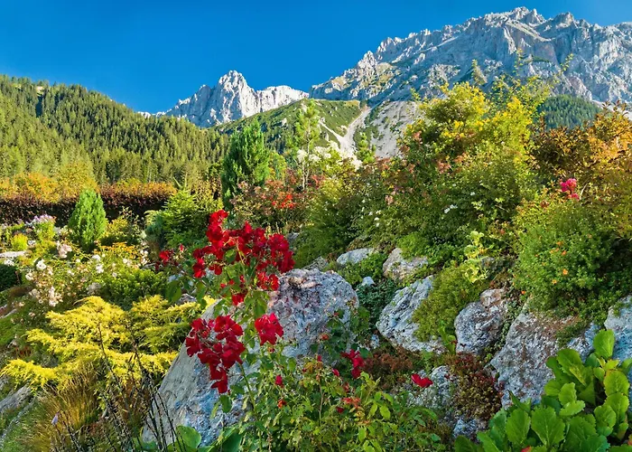 Gasthuis Stoffenbauer