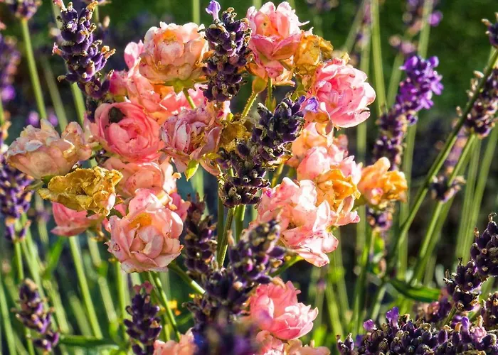 Stoffenbauer 3* Ramsau am Dachstein