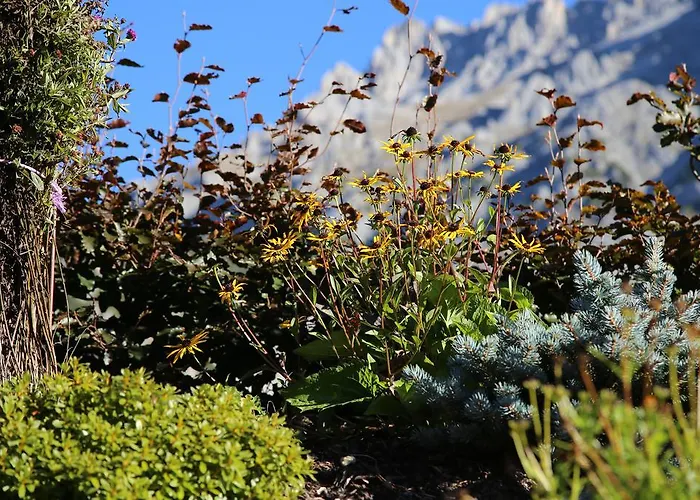 בית הארחה Stoffenbauer 3*