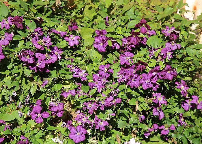 Gæstehus Stoffenbauer